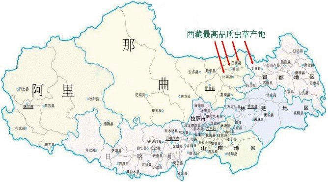 ��õĶ��x�Ĳ�,��õĶ��x�ĲݵĮa��,Ʒ�|��Ѷ��x�ĲݵĮa��,Ʒ�|��ö��x�ĲݵĮa��,���ض��x�Ĳݵ���Ѯa��