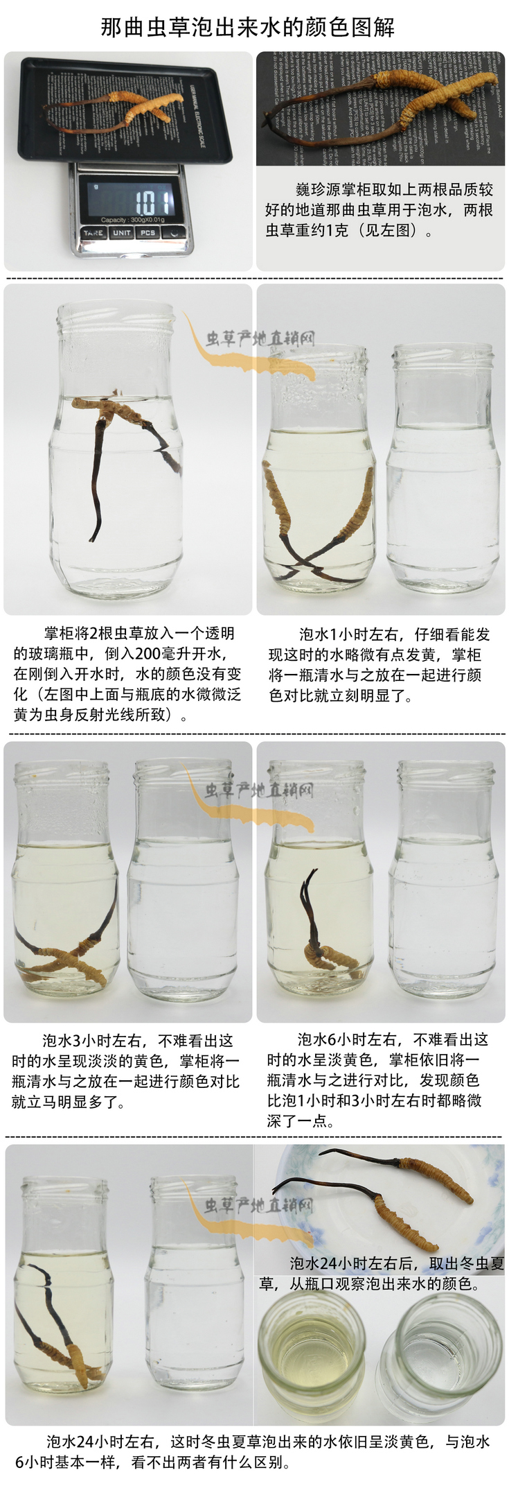 ���x�Ĳ��ݳ���ˮ���ɫ�����x�Ĳ��ݳ�����ˮ��ʲô�ɫ�����x�Ĳ���ˮ���ɫ��׃�����������x�����^ˮ��ˮ׃��ʲô�ɫ