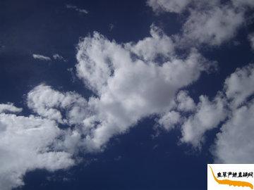 ���x�ĲݵĮa(ch��n)��-���������՚�ܝ���,��Ȼ�h(hu��n)���o��Ⱦ,���(y��u)�|�������x�ݮa(ch��n)��