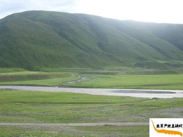 �����x�ݮa(ch��n)����Ȼ�L��,���x�Ĳݮa(ch��n)��