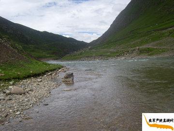 ���x�Ĳݮa(ch��n)��,������������h���d�l(xi��ng)�ǃ�(y��u)�|�x�ݵĮa(ch��n)��